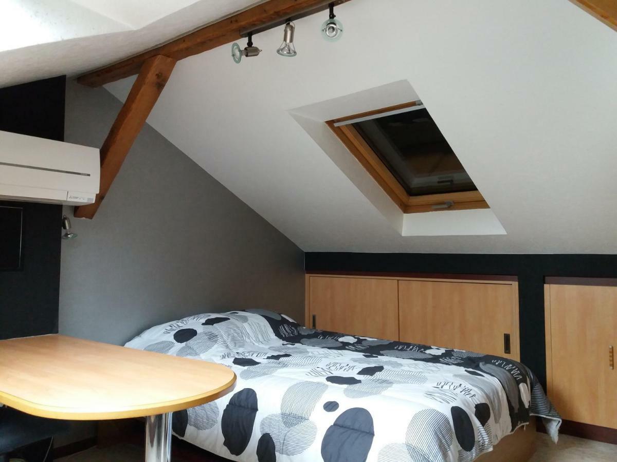 Logis 18 Rose Lejlighed Strasbourg Eksteriør billede
